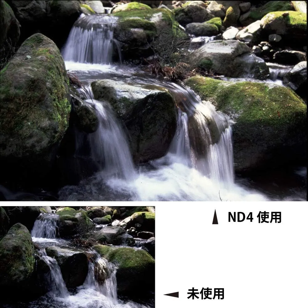Kenko 355619 PRO ND4 55mm ND Filter for Light Control