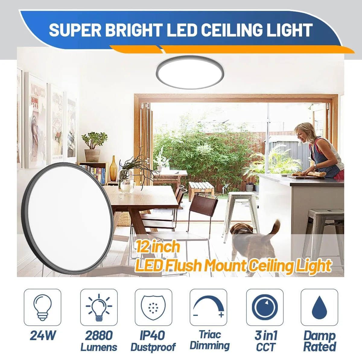 LED Flush Mount Ceiling Light Fixture, Black 1-Pack 24W 12inch 2880lm CCT 3000K/4000K/6500K Thin Round Flat Panel Light Surface Mount for Bedroom, Kitchen, Bathroom. Dimmable Ceiling Lamp